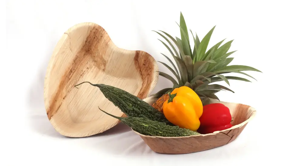 biodegradable plates UAE