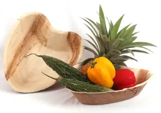 plastic dinnerware plates
